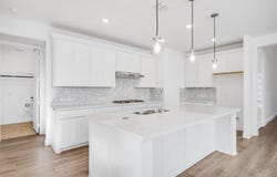 526 Chatham Street, Oak Point, TX 75068