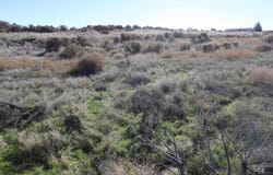 Tbd 1200 East, Bliss, ID 83314