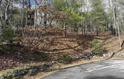23 Glassy View, Cashiers, NC 28717