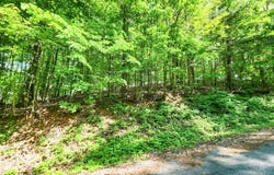 208 Sara Lane, Maynardville, TN 37807