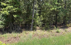 Island Shores lot: 26, Greers Ferry, AR 72067