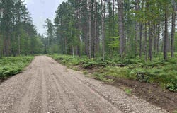 TBD Parcel 3 Paint River, Crystal Falls, MI 49920