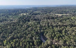 Damascus, AR 72039