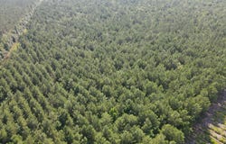 143-217 War Tom Road, Aulander, NC 27805