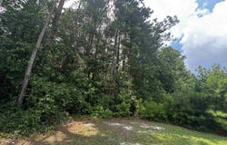 0 Methodist Park Road, West Columbia, SC 29170