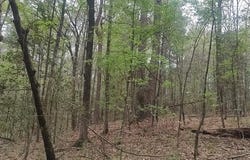 Tbd County Road 165, Long Branch, TX 75669