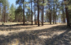 34991 Sprague River Road, Sprague River, OR 97639