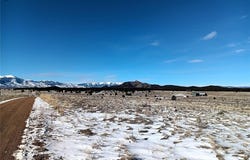 567 Trails End Court, Cotopaxi, CO 81223