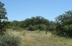 0001 CR 146, Brady, TX 76825