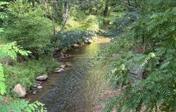 5827 Brasstown Creek Est, Young Harris, GA 30582