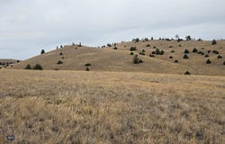 Antler Trail lot: 234, Ennis, MT 59729