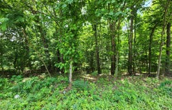 0 Diamond Hill RD, Moneta, VA 24121
