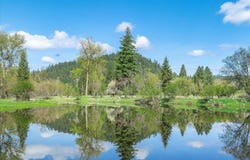 36524 E Canyon Rd, Cataldo, ID 83810