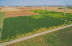 Tbd FM 2229, O'Brien, TX 79539