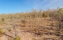 Lot 212 Forest Oak, Somerville, TX 77879