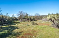 **** Western Whitehouse Way, Oak Run, CA 96069
