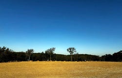 1212 Packing House Road, Graham, TX 76450