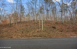 Fox Hollow Lane, Andersonville, TN 37705
