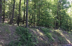 DRUMMER HILL, FRONT ROYAL, VA 22630