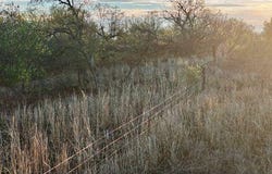 186 County Road, Cee Vee, TX 79223
