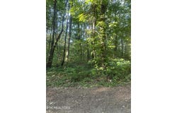 Running Deer, Crab Orchard, TN 37723