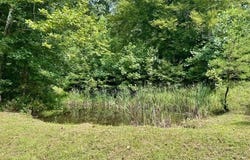 21481 Route 152, Genoa, WV 25517