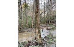 0 Suggs Road, Dothan, AL 36303