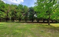 5000 Gamm Gay, Garfield, GA 30425