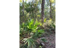 NW Camp Azalea Road lot: 47, Other Florida, FL 32626