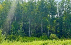 000 370th Avenue, Richardson Twp, MN 56338