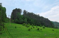 00 Buffalo Street, Coudersport, PA 16915