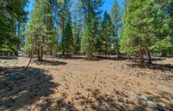 43 Tolowa Trail, Graeagle, CA 96103