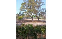 5104 Gulf Breeze Parkway, Gulf Breeze, FL 32563