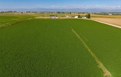 6012 Quiet View Ct, Loveland, CO 80537