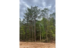 Hwy. 25 Hwy. 25, Greensboro, AL 36744
