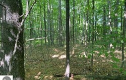 00 Birch Lake Road, Kewadin, MI 49676