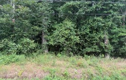 LOTS Railroad Avenue, Wakefield, VA 23888