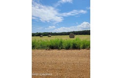 LOT 3 CO RD 191 ARROW AIRPARK SUBD., Flemington, MO 65650