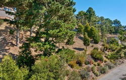 107 Mount Tiburon Road, Tiburon, CA 94920