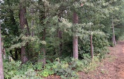 0 HWY 17 ALT, Toccoa, GA 30577