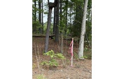 Cemetery Road lot: B, Elko, SC 29826