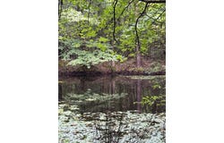 CR 489, Oxford, MS 38655