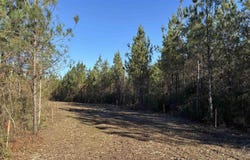 Straw Bridge Rd lot: 55, Jay, FL 32565