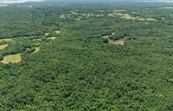 29 Acres County Road 303, Cherry Valley, AR 72324