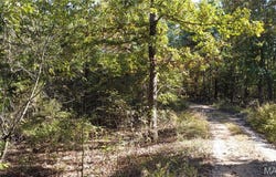 16426 Stone Ridge Road, Potosi, MO 63664