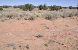 29A CR N9080, Concho, AZ 85924