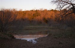 0000 Cement Mountain Road, Bryson, TX 76427