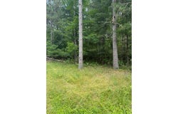 West Road, Black River Falls, WI 54615