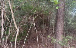 00 Joshua Road, McHenry, MS 39561