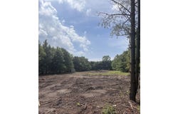 9710 Miller Road, Baroda, MI 49101